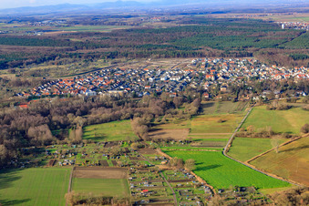 Ortsansicht von Osten in Jockgrim im Bundesland Rheinland-Pfalz, Deutschland