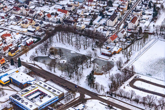 Schwanenweier im Winter gefroren in Kandel im Bundesland Rheinland-Pfalz, Deutschland