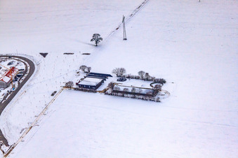 Gehöft Im Winter bei Schnee in Kandel im Bundesland Rheinland-Pfalz, Deutschland