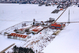 Luftbild von Dorfmarkt Schoßberghof Im Winter bei Schnee in Minfeld im Bundesland Rheinland-Pfalz, Deutschland