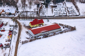 Gockelwirt Im Winter bei Schnee in Minfeld im Bundesland Rheinland-Pfalz, Deutschland