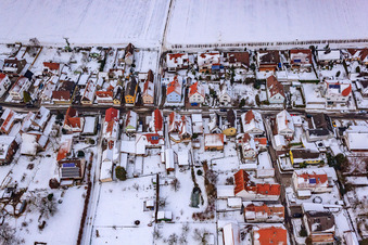Luftbild von Gänsried Im Winter bei Schnee in Freckenfeld im Bundesland Rheinland-Pfalz, Deutschland