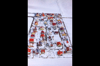 Luftbild von Neubaugebiet Brotäcker bei Schnee in Steinweiler im Bundesland Rheinland-Pfalz, Deutschland