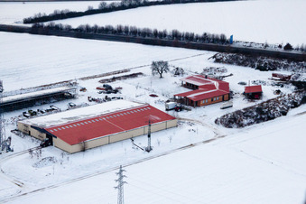 Luftbild von Hühnerhof Eierfarm im Winter bei Schnee in Erlenbach bei Kandel im Bundesland Rheinland-Pfalz, Deutschland