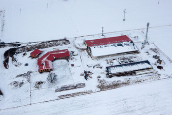 Luftaufnahme von Hühnerhof Eierfarm im Winter bei Schnee in Erlenbach bei Kandel im Bundesland Rheinland-Pfalz, Deutschland