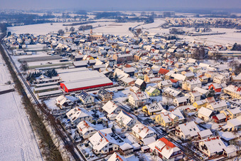 Luftaufnahme von Am Otterbach im Winter bei Schnee in Neupotz im Bundesland Rheinland-Pfalz, Deutschland