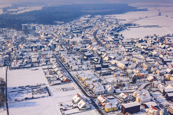 Im Horst im Winter bei Schnee in Hatzenbühl im Bundesland Rheinland-Pfalz, Deutschland