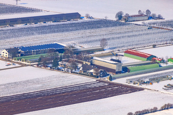 Zapf Hofmarkt im Winter bei Schnee in Kandel im Bundesland Rheinland-Pfalz, Deutschland