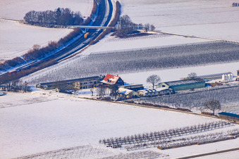 Zapf Frischgemüse im Winter bei Schnee in Kandel im Bundesland Rheinland-Pfalz, Deutschland
