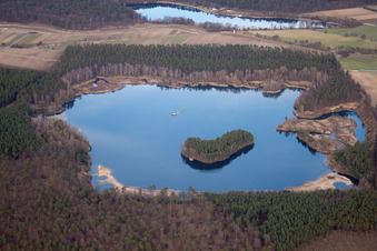 Neuthard, Naturschutzgebiet Kohlplattenschlag im Ortsteil Graben in Graben-Neudorf im Bundesland Baden-Württemberg, Deutschland