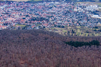 Luftbild von Nußloch von Osten im Bundesland Baden-Württemberg, Deutschland
