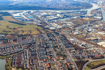 Rheinauhafen von Osten in Mannheim im Bundesland Baden-Württemberg, Deutschland