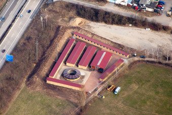 Luftaufnahme von Seckenheim, Waldrennbahn des Badischen Rennvereins in Mannheim im Bundesland Baden-Württemberg, Deutschland