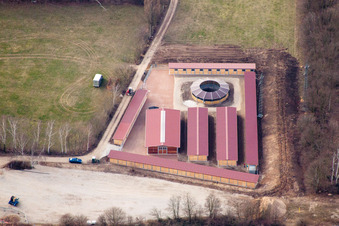 Schrägluftbild von Seckenheim, Waldrennbahn des Badischen Rennvereins in Mannheim im Bundesland Baden-Württemberg, Deutschland