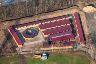 Luftbild von Rennstrecke der Waldrennbahn Seckenheim im Ortsteil Seckenheim in Mannheim im Bundesland Baden-Württemberg, Deutschland