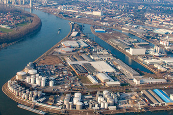 Rheinauhafen in Mannheim im Bundesland Baden-Württemberg, Deutschland vom Flugzeug aus