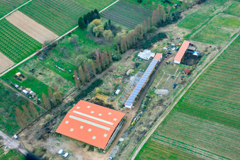Hirtenbrunner Hof An der Ahlmühle in Ilbesheim bei Landau im Bundesland Rheinland-Pfalz, Deutschland