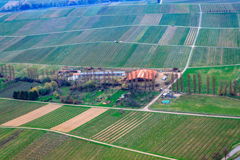 Pferdepension Hirtenbrunner Hof an der Aalmühl in Ilbesheim bei Landau im Bundesland Rheinland-Pfalz, Deutschland