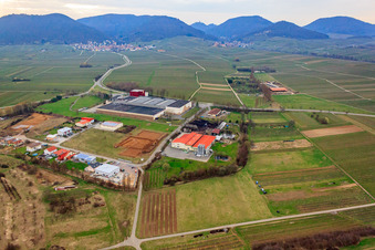 Schrägluftbild von An der Ahlmühle, Deutsches Weintor eG in Ilbesheim bei Landau im Bundesland Rheinland-Pfalz, Deutschland