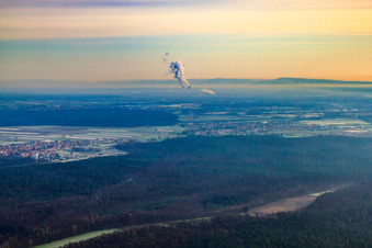 Wald zw. Hatzenbühl/Rheinzabern im Bundesland Rheinland-Pfalz, Deutschland