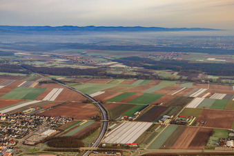 Verlauf der A65 in Kandel im Bundesland Rheinland-Pfalz, Deutschland
