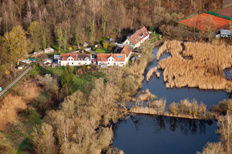 Biotope am Waldweg im Ortsteil Neuburgweier in Rheinstetten im Bundesland Baden-Württemberg, Deutschland
