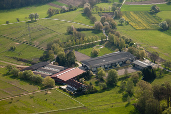 AG Tierschutz Pferde&Co. El Bandido im Ortsteil Wöschbach in Pfinztal im Bundesland Baden-Württemberg, Deutschland