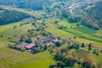 Schrägluftbild von AG Tierschutz Pferde&Co im Ortsteil Wöschbach in Pfinztal im Bundesland Baden-Württemberg, Deutschland