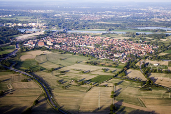 Maximiliansau von Westen in Wörth am Rhein im Bundesland Rheinland-Pfalz, Deutschland