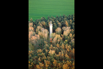 Funkturm und Sendeanlage im Wald in Jüterbog im Bundesland Brandenburg, Deutschland