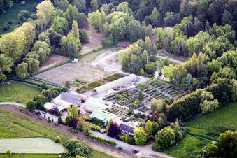 Gebäude der Niederlassung des Pflanzenmarkt Bienwaldbaumschule in Berg (Pfalz) im Bundesland Rheinland-Pfalz, Deutschland