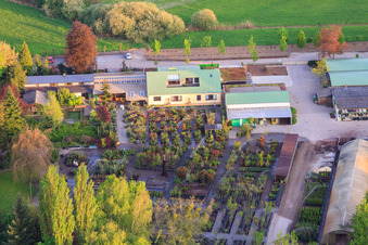 Luftaufnahme von Bienwald-Baumschule GbR in Berg im Bundesland Rheinland-Pfalz, Deutschland