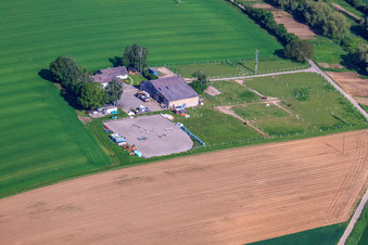 Pferdehof Birkenhof in Impflingen im Bundesland Rheinland-Pfalz, Deutschland