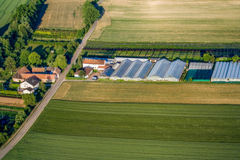 Höllenmühle in Vollmersweiler im Bundesland Rheinland-Pfalz, Deutschland
