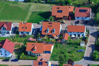 Im Erbsenfeld im Ortsteil Mörzheim in Landau in der Pfalz im Bundesland Rheinland-Pfalz, Deutschland von oben