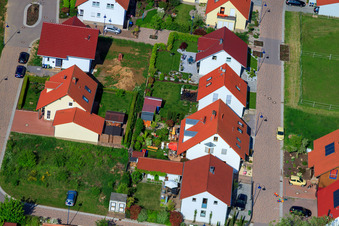 Im Erbsenfeld im Ortsteil Mörzheim in Landau in der Pfalz im Bundesland Rheinland-Pfalz, Deutschland aus der Drohnenperspektive