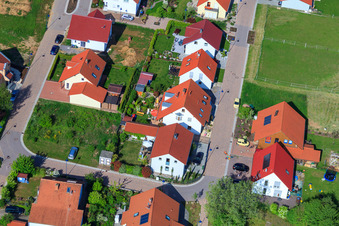 Im Erbsenfeld im Ortsteil Mörzheim in Landau in der Pfalz im Bundesland Rheinland-Pfalz, Deutschland von einer Drohne aus