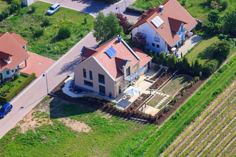 Im Erbsenfeld im Ortsteil Mörzheim in Landau in der Pfalz im Bundesland Rheinland-Pfalz, Deutschland von oben