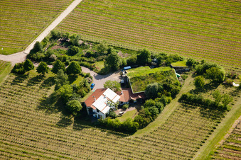 Bioland Weingut Marzolph im Ortsteil Wollmesheim in Landau in der Pfalz im Bundesland Rheinland-Pfalz, Deutschland