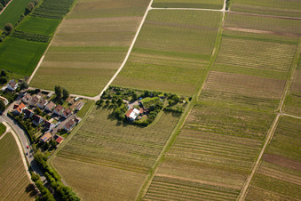 Luftaufnahme von Bioland Weingut Marzolph im Ortsteil Wollmesheim in Landau in der Pfalz im Bundesland Rheinland-Pfalz, Deutschland