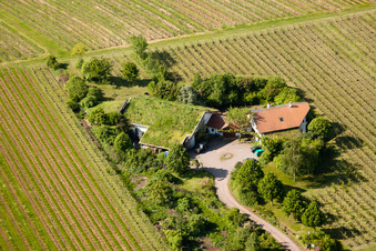 BiolandWeinbau Unterm Grassdach Weingut Marzolph im Ortsteil Wollmesheim in Landau in der Pfalz im Bundesland Rheinland-Pfalz, Deutschland