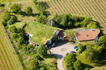 Luftbild von BiolandWeinbau Unterm Grassdach Weingut Marzolph im Ortsteil Wollmesheim in Landau in der Pfalz im Bundesland Rheinland-Pfalz, Deutschland