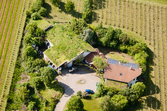 BiolandWeinbau Unterm Grassdach Weingut Marzolph im Ortsteil Wollmesheim in Landau in der Pfalz im Bundesland Rheinland-Pfalz, Deutschland von oben