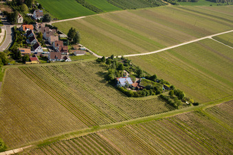 BiolandWeinbau Unterm Grassdach Weingut Marzolph im Ortsteil Wollmesheim in Landau in der Pfalz im Bundesland Rheinland-Pfalz, Deutschland aus der Luft