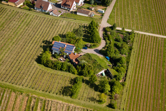 BiolandWeinbau Unterm Grassdach Weingut Marzolph im Ortsteil Wollmesheim in Landau in der Pfalz im Bundesland Rheinland-Pfalz, Deutschland aus der Vogelperspektive