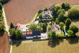 Pockensatz in Landau in der Pfalz im Bundesland Rheinland-Pfalz, Deutschland