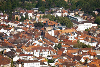 Ev. Stiftskirche in Landau in der Pfalz im Bundesland Rheinland-Pfalz, Deutschland