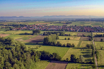 Ortschaft von Süden in Minfeld im Bundesland Rheinland-Pfalz, Deutschland