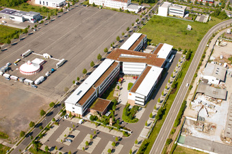 Ortsteil Queichheim in Landau in der Pfalz im Bundesland Rheinland-Pfalz, Deutschland von der Drohne aus gesehen