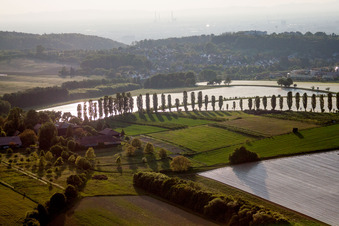 Baumreihe an einer Landstraße an einem Feldrand im Ortsteil Thomashof, Hohenwettersbach in Karlsruhe im Bundesland Baden-Württemberg, Deutschland